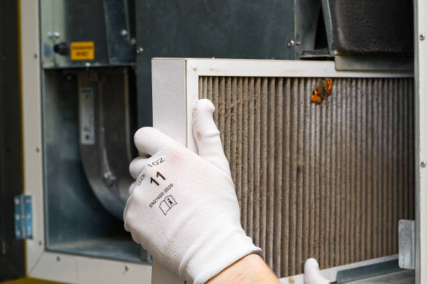 Best Professional Duct Cleaning Services  in Long Grove, IA